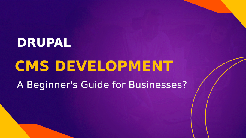 Drupal CMS Development