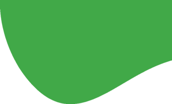 section bg image