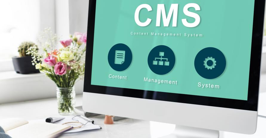 The Rise of Headless Content Management Systems in the Mainstream
