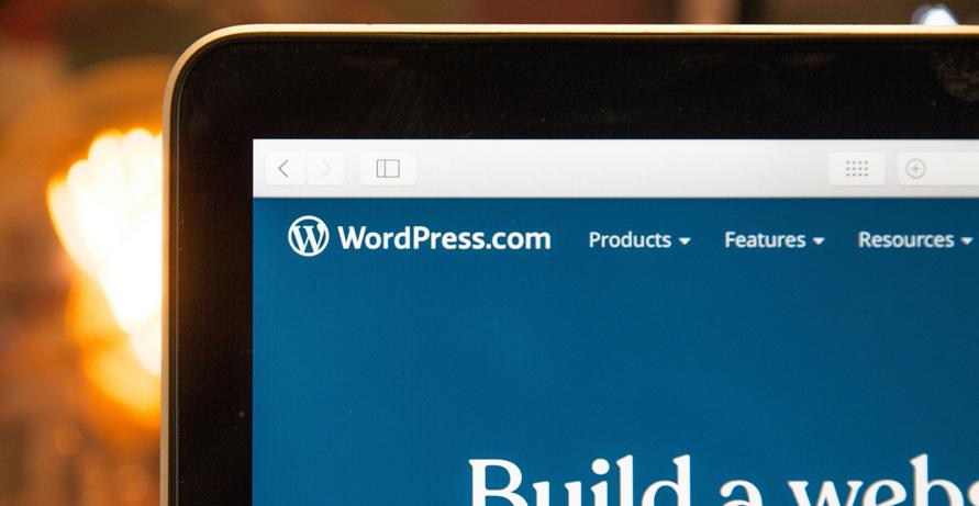 Why Your Business Requires a Professional WordPress Development Company?