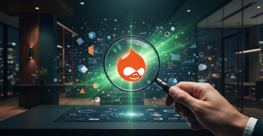How to Choose the Best Drupal Development Company in the USA