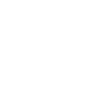 Web Scripting & Automations